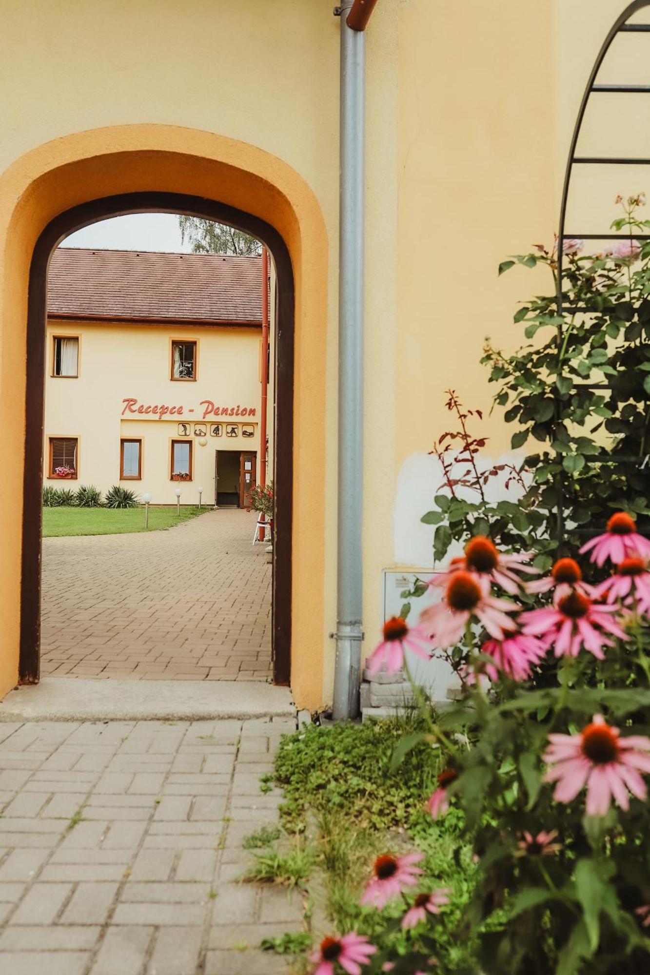 Hotel Sport - Relax Buky à Františkovy Lázně Extérieur photo